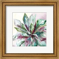 Framed 'Succulent Watercolor II' border=