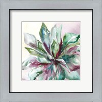 Framed 'Succulent Watercolor II' border=