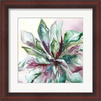 Framed 'Succulent Watercolor II' border=