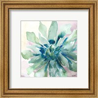 Framed 'Succulent Watercolor III' border=