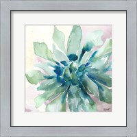 Framed Succulent Watercolor III