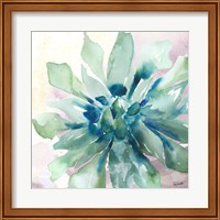 Framed 'Succulent Watercolor III' border=