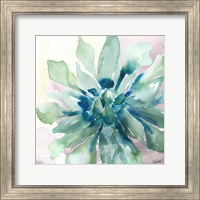 Framed 'Succulent Watercolor III' border=