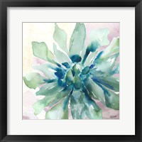 Succulent Watercolor III Framed Print