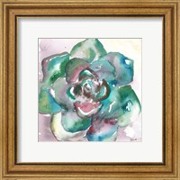 Framed 'Succulent Watercolor IV' border=