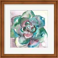 Framed 'Succulent Watercolor IV' border=