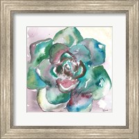 Framed 'Succulent Watercolor IV' border=