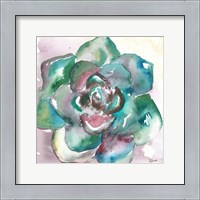 Framed Succulent Watercolor IV