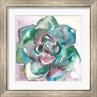 Framed 'Succulent Watercolor IV' border=