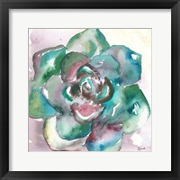 Framed 'Succulent Watercolor IV' border=