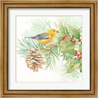 Framed 'Winter Birds I Warbler' border=