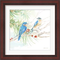 Framed 'Winter Birds III Bluebirds' border=