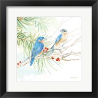 Framed 'Winter Birds III Bluebirds' border=