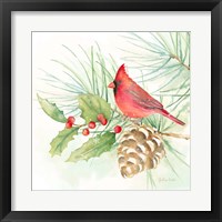 Framed 'Winter Birds IV Cardinal' border=