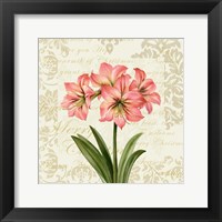 Botanical Christmas Cream IV Framed Print