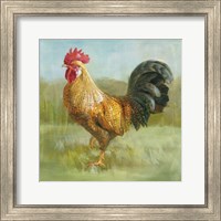 Framed 'Noble Rooster II' border=