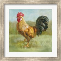 Framed 'Noble Rooster II' border=