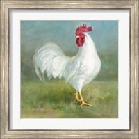 Framed 'Noble Rooster I' border=