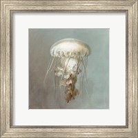 Framed 'Treasures from the Sea VI' border=