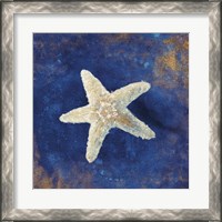 Framed 'Treasures from the Sea Indigo IV' border=