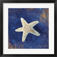 Framed 'Treasures from the Sea Indigo IV' border=