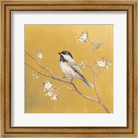 Framed 'Black Capped Chickadee on Gold' border=