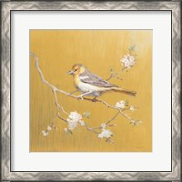 Framed 'Northern Oriole on Gold' border=