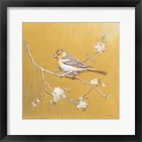 Framed 'Northern Oriole on Gold' border=