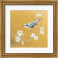 Framed 'Nuthatch on Gold' border=