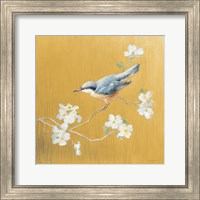 Framed 'Nuthatch on Gold' border=