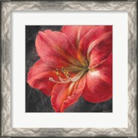 Framed 'Vivid Floral III Crop' border=