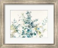 Framed Eucalyptus I