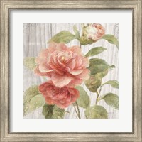 Framed 'Scented Cottage Florals III Crop' border=