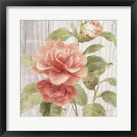 Scented Cottage Florals III Crop Framed Print