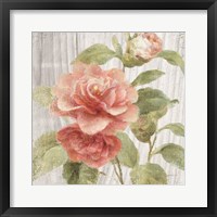 Framed 'Scented Cottage Florals III Crop' border=