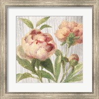 Framed 'Scented Cottage Florals I Crop' border=