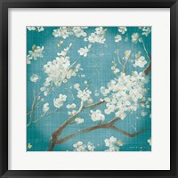 White Cherry Blossoms I on Teal Aged no Bird Framed Print