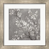 Framed 'White Cherry Blossoms II on Grey Crop' border=