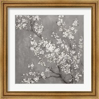 Framed 'White Cherry Blossoms II on Grey Crop' border=