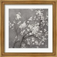 Framed 'White Cherry Blossoms I on Grey Crop' border=