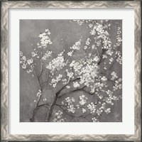 Framed 'White Cherry Blossoms I on Grey Crop' border=