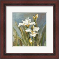 Framed 'Spring Iris II' border=