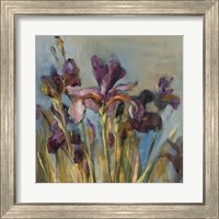 Framed 'Spring Iris I' border=