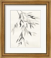 Framed 'Bamboo Leaves IV' border=