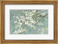 Framed Dogwood in Spring on Blue