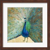 Framed Blue Peacock Cream