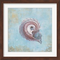 Framed 'Treasures from the Sea III Watercolor' border=