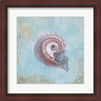 Framed 'Treasures from the Sea III Watercolor' border=