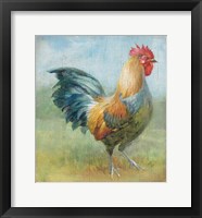 Framed Noble Rooster III Vintage No Border