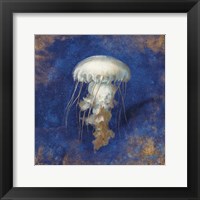 Treasures from the Sea Indigo VI Framed Print